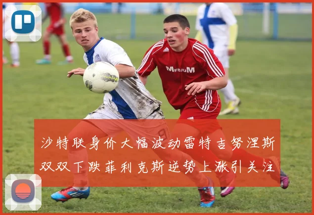 沙特联身价大幅波动雷特吉努涅斯双双下跌菲利克斯逆势上涨引关注